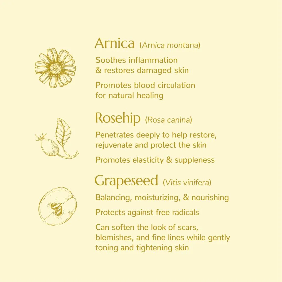 Plant Therapy Restorative Facial Oil with Arnica