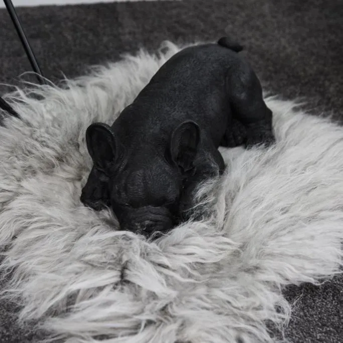 S White Moose Sleeping French Bulldog